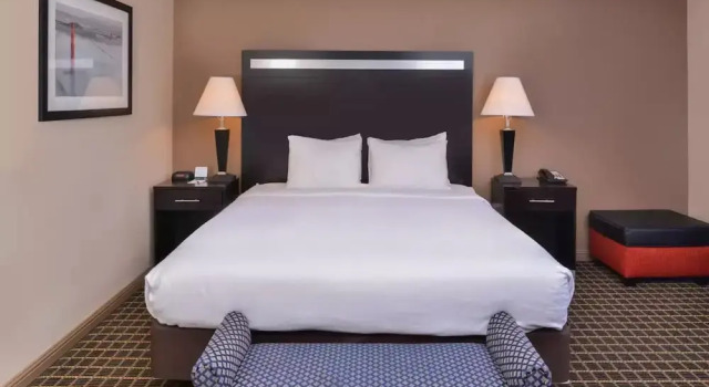 Двухместный номер Business Hotel Nova SFO
