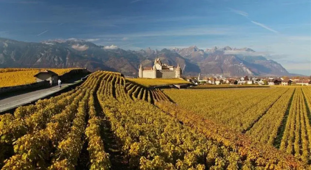 Auberge Communale de la Couronne, Varaa Hostelli  