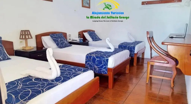 Номер Deluxe La Mirada De Solitario George