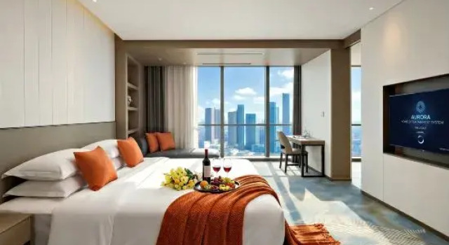 Люкс Business NATO·QiXin Begonia Hotel