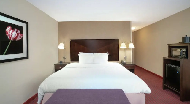 Номер Classic Hampton Inn Richmond - Airport