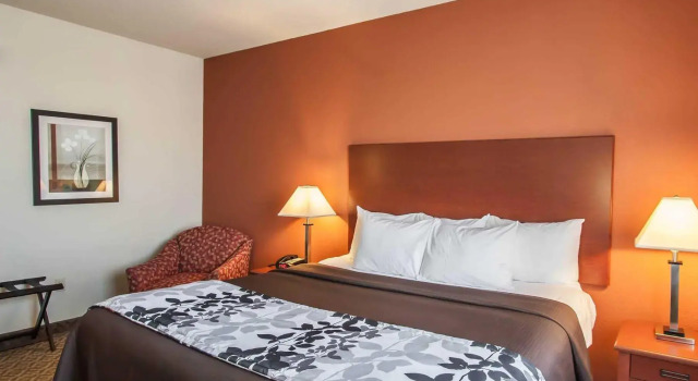 Номер Standard Sleep Inn & Suites Dyersburg I-155