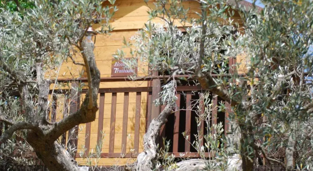 Коттедж Palazzo Conforti Tree House Resort