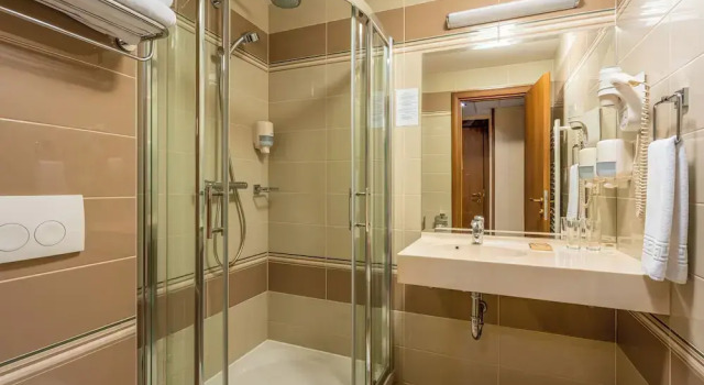 Komfortowy pokój Hotel Leul de Aur