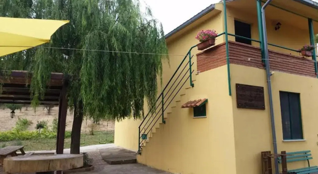 Студия Dal Biondo