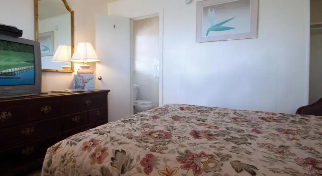 Run of House Oceanic Motel
