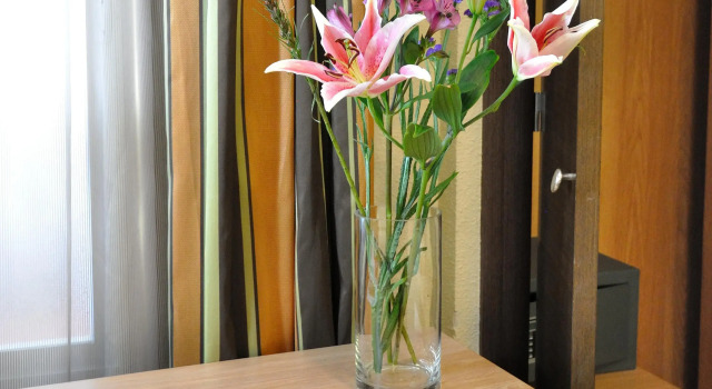 Одноместный номер Standard Hostal Ballesta