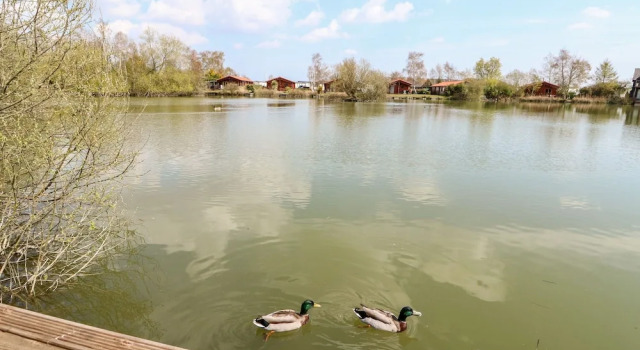 Căsuță Bittern Lodge