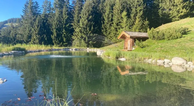 Коттедж Buccara Zwischenbachalm