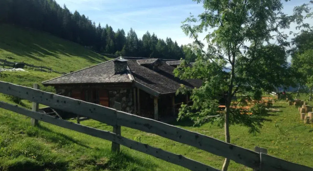 Апартаменты il bosco in casa