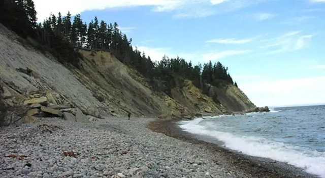 Коттедж Breton Cove Farmhouse