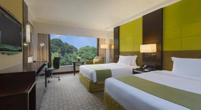 Номер Premium Holiday Inn Singapore Orchard City Centre by IHG