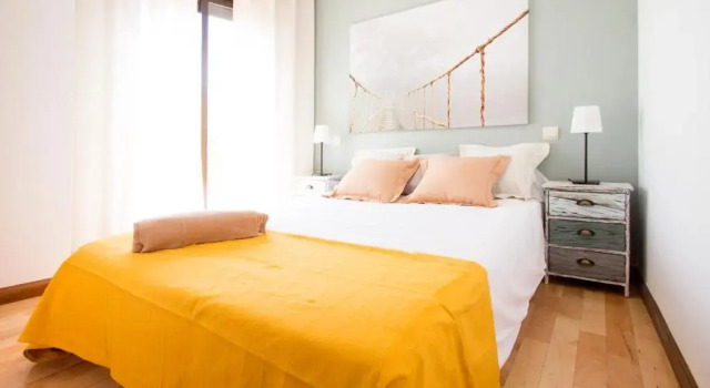 Apartamentos Adelfas