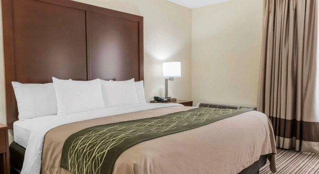 Двухместный номер Standard Comfort Inn - Pocono Mountains