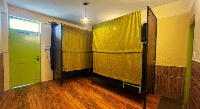 Кровать в общем номере Trippy Turtle Hostel