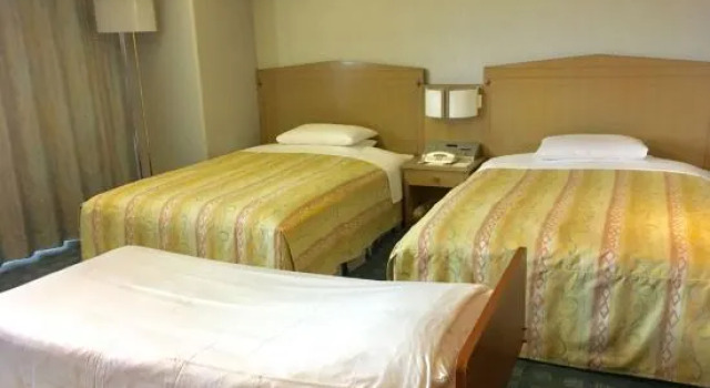 Номер Standard Hotel Heritage Hanno Sta