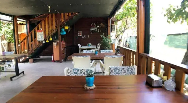 Номер Standard Turkuaz Bungalows