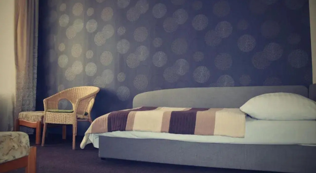 Номер Standard Hotel U Dvou medvídků