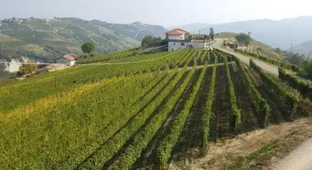 La Via del Sale Holiday Home, Réserver Hôtel Mango Langhe