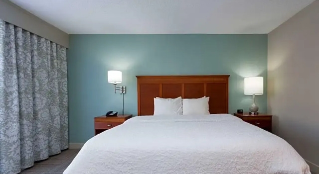 Двухместный люкс c 1 комнатой Hampton Inn Harbourgate