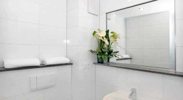 Студия Superior Hotel Apartment Laforsch