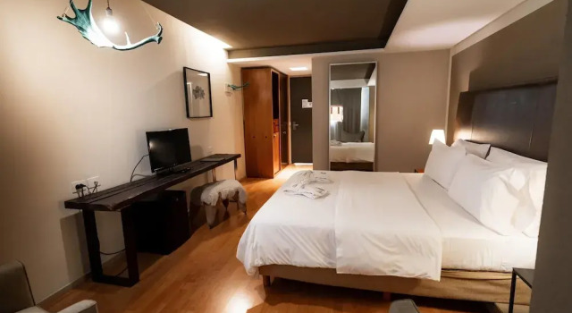 Двухместный номер Concept Esplendor by Wyndham El Calafate