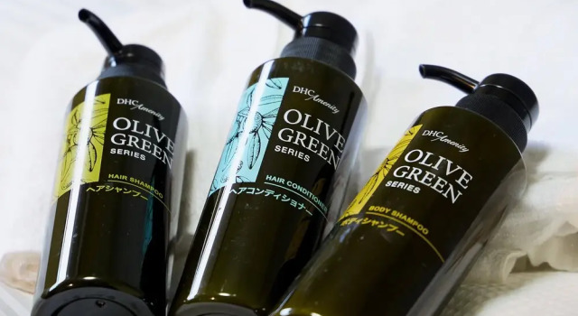 Номер Standard Hotel Village