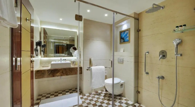 Клубный номер Standard The Fern Residency, Jaipur