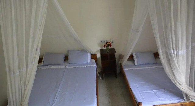 Двухместный номер Standard Fig Tree Lodge Camp