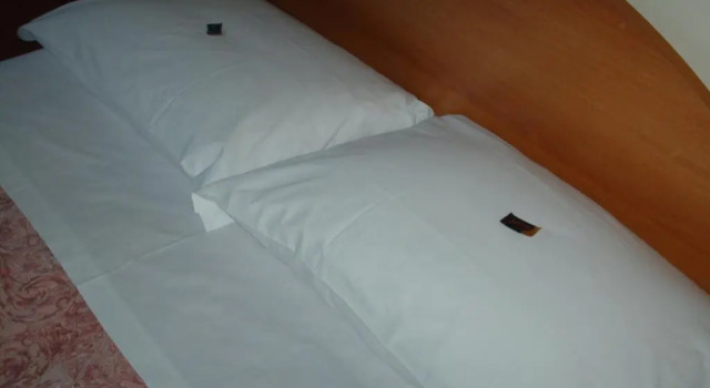 Номер Standard Hotel Triana e Tyche