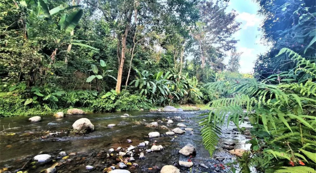 Mökki Holiday cottage by the river, Arusha