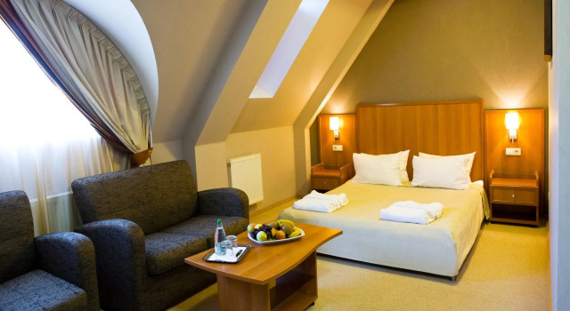 Номер Business Hotel Praha