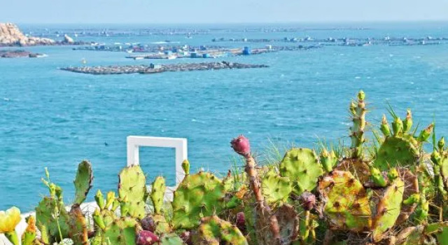 Pingtan Mo Cliff Seaview Homestay, Prenota Hotel Fuzhou Monte Fuji