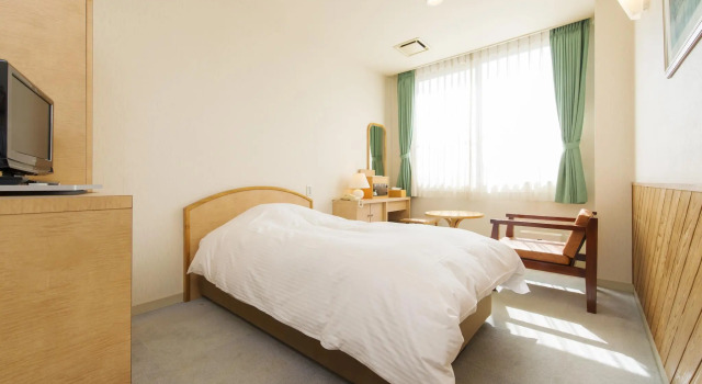 Одноместный номер Standard Hotel Takachiho