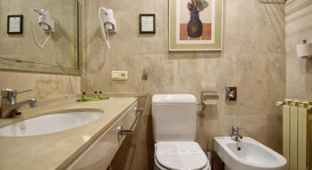Трёхместный номер Standard Hotel Maria Luisa