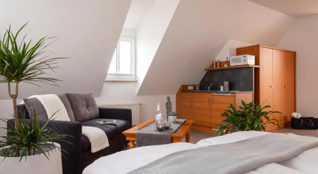 Люкс Hotel am Ludwigskanal