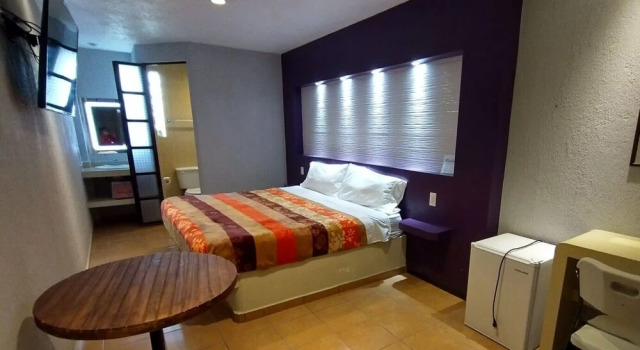 Номер Executive Hotel Real Campestre Tepetoci