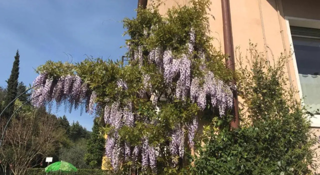 Le Giare House, Book Hotel Grezzana Veneto