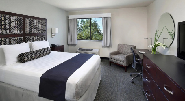 Двухместный номер Deluxe Maple Tree Inn
