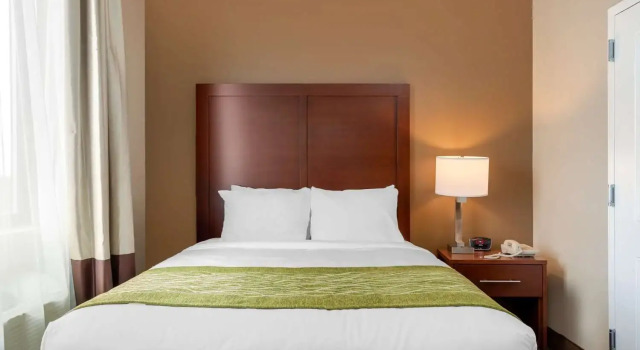 Comfort Inn & Suites near JFK Air Train