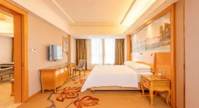 Люкс Deluxe Vienna Hotel (Gongcheng Tianjie)