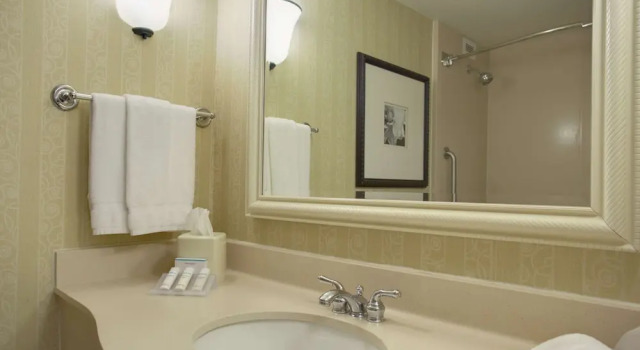 Двухместный номер With Whirpool Sofabed Hilton Garden Inn San Francisco Airport North