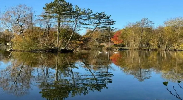 Коттедж Wildlife Haven Near Le Pouldu