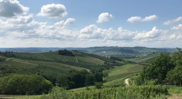 Апартаменты Cascina Delle Rose