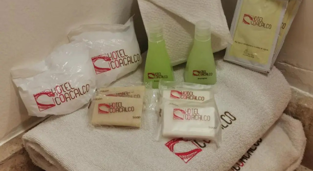 Двухместный номер Standard Hotel Coacalco