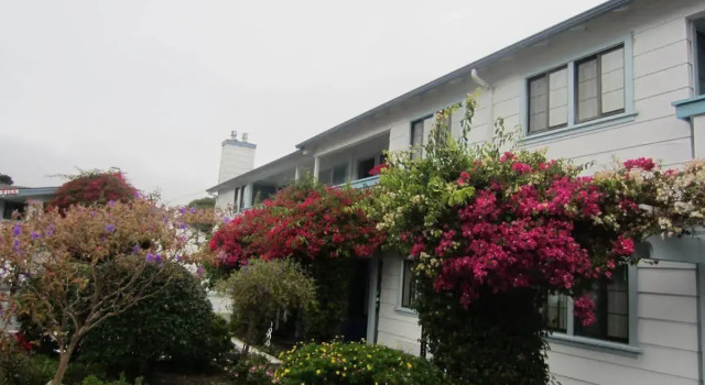 Arbor Inn Monterey