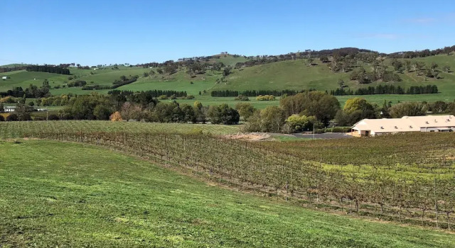 Двухместная студия Цокольный этаж с балконом Turners Vineyard