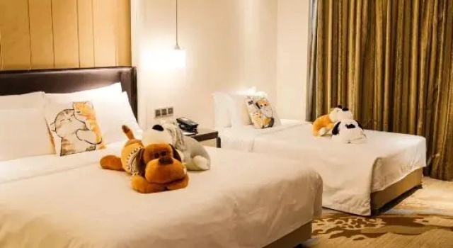 Одноместный семейный номер Standard Hangzhou Bay Universal Hotel