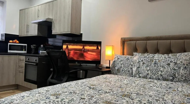 Entire Studio apartment - London