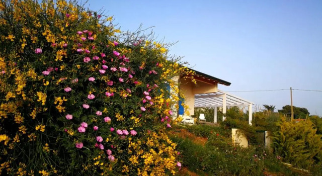 Apartment Casa Collis